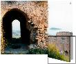 Ruins With Arched Passageway, Calabrian, Italy by I.W. Limited Edition Print