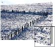 Snowy Pastures With Fence by I.W. Limited Edition Print