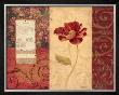 Peony Montage by Carol Robinson Limited Edition Print