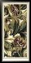 Acanthus Panel I by Vision Studio Limited Edition Print