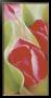 Tulips I by Annette Schmucker Limited Edition Print