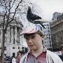 Young Boy With A Pigeon On His Hat, Trafalgar Square by Shirley Baker Limited Edition Print