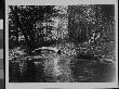 A Man Sitting And Reading During A Break From Fishing By A Stream In The Woods by Wallace G. Levison Limited Edition Print