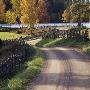 Meandering Country Road, Smaland, Sweden by Ove Eriksson Limited Edition Print