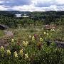 Panoramic View Of A Landscape by Ove Eriksson Limited Edition Print