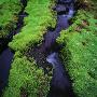 A Creek Surrounded With Green Moss, Iceland by Throstur Thordarson Limited Edition Print