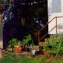 Potted Plants And A Folding Chair Outside A House by Mikael Leijon Limited Edition Print