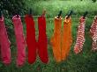 Socks Drying On A Clothesline by Helena Bergengren Limited Edition Pricing Art Print