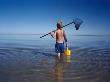 A Boy Standing In The Sea With A Bucket And A Pocket Net by Helena Bergengren Limited Edition Pricing Art Print