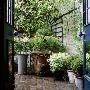 Small Town Garden: View Through Backdoor French Windows Into Secluded Brick Courtyard Area by Clive Nichols Limited Edition Print