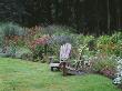 Sweeping Border Beside Wooden Adirondack Chairs With Echinacea, Nepeta And Grasses by Clive Nichols Limited Edition Print