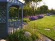 Blue Pergola Beside The Lawn With Border Of Nepeta 'Walkers Low', Designer: Clare Matthews by Clive Nichols Limited Edition Print