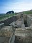 Housesteads Roman Fort, (Vercovicium), Hadrian's Wall, Northumberland, England by Colin Dixon Limited Edition Print
