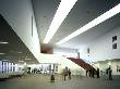 De Young Museum, San Francisco, 2005, Entrance Hall, Architect: Herzog And De Meuron by John Edward Linden Limited Edition Print