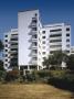 Highpoint Flats, Highgate (1936-8), Architects: Tecton And Lubetkin by Lewis Gasson Limited Edition Print