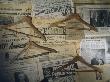 Paraphernalia From The Lampton Store, Columbia, Mississippi by Lucinda Lambton Limited Edition Pricing Art Print