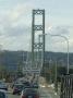 Tacoma Narrows Bridge, Near Seattle, Washington, Usa 1950 by Natalie Tepper Limited Edition Print