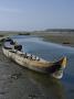 Canoe, Mangrove Swamp, La Boquilla, Cartagena (De Indias), Colombia by Natalie Tepper Limited Edition Print