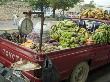 Back Of Truck Fruit Stall, Santo Domingo, Dominican Republic by Natalie Tepper Limited Edition Print