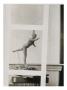 Degas : Danseuse ,Grande Arabesque, Deuxieme Temps (Rf 2070)1882-1885 by Ambroise Vollard Limited Edition Print