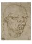 Tete D'homme Grimacant, Une Calotte Sur La Tete by Leonard De Vinci Limited Edition Print