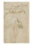 Tete De Cheval, Vue De La Croupe D'un Cheval by Leonard De Vinci Limited Edition Print