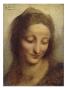 Copie Du Visage De Sainte Anne Dans La Vierge, L'enfant Jesus Et Sainte Anne De Leonard De Vinci by Leonard De Vinci Limited Edition Print