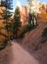 Hikers In Bryce Amphitheater, Bryce Canyon National Park, Utah, Usa by Michael Defreitas Limited Edition Print