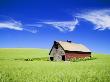 Old Red Barn In Spring Green Wheat Field, Washington, Usa by Terry Eggers Limited Edition Pricing Art Print