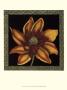 Patterned Flowers I by Jennifer Goldberger Limited Edition Print