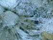 Close-Up Of A Frozen Stream With Ice Crystals And Pebbles by Stephen Sharnoff Limited Edition Print