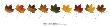 Maple Medley by Owen Mortensen Limited Edition Print