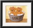 Two Bears In Girl Bucket by Catherine Becquer Limited Edition Print
