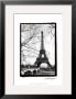 Eiffel Tower Along The Seine River by Laura Denardo Limited Edition Pricing Art Print
