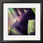 Boudoir by Jean-Francois Dupuis Limited Edition Print