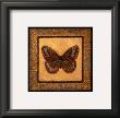 Crackled Butterfly Ii by Wendy Russell Limited Edition Print