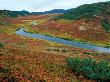 The Upper Shumnaya River Starts In The Caldera Of The Uzon Volcano, Russia by Igor Shpilenok Limited Edition Pricing Art Print