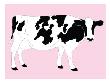 Pink Dairy Cow by Avalisa Limited Edition Print