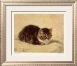 The Parson's Kitten by Henriette Ronner-Knip Limited Edition Pricing Art Print