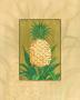 Queen Pineapple by Paul Brent Limited Edition Pricing Art Print