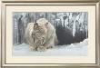 Dozing Lynx by Robert Bateman Limited Edition Print