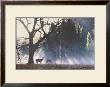 Yosemite Dawn by Terry Isaac Limited Edition Print