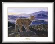 Bobcat by Don Balke Limited Edition Print