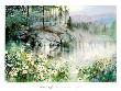 Daisy Bay by Nita Engle Limited Edition Print