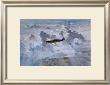 Lone Spitfire by Gerald Coulson Limited Edition Print