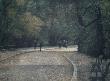 Central Park Ii by Harold Altman Limited Edition Print